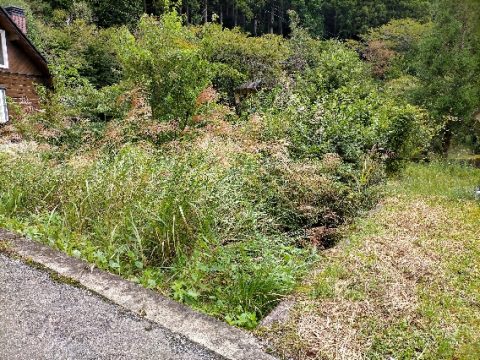  吉野郡東吉野村大字平野