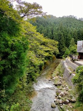  吉野郡東吉野村大字平野
