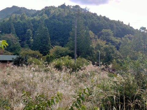 detached 吉野郡東吉野村平野