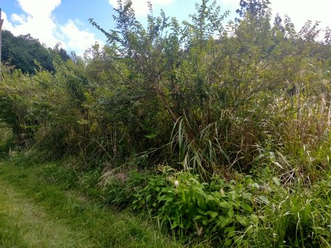 detached 吉野郡東吉野村平野