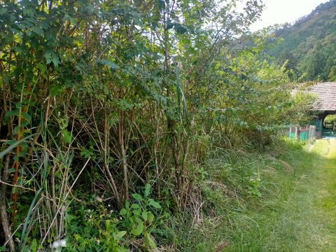 detached 吉野郡東吉野村平野