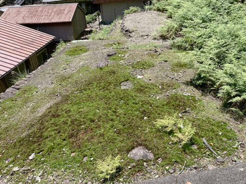  吉野郡下北山村上桑原