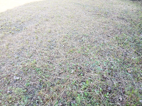  吉野郡下市町下市